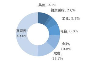 赛迪数据 互联网、政务与金融成大数据发展核心，互联网数据服务价值凸显